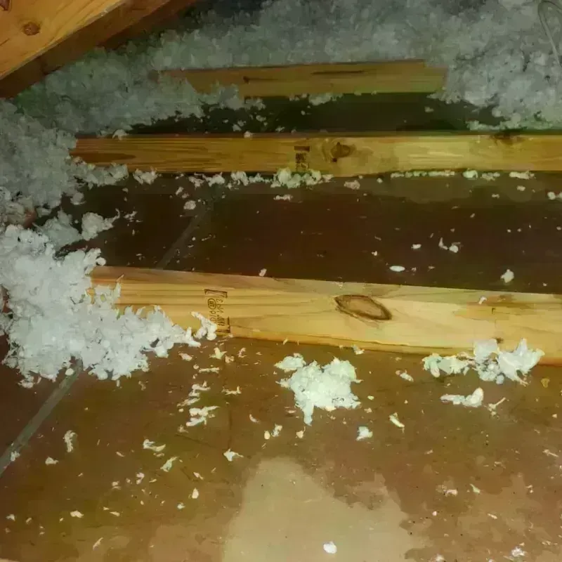 Attic Water Damage in Defiance County, OH