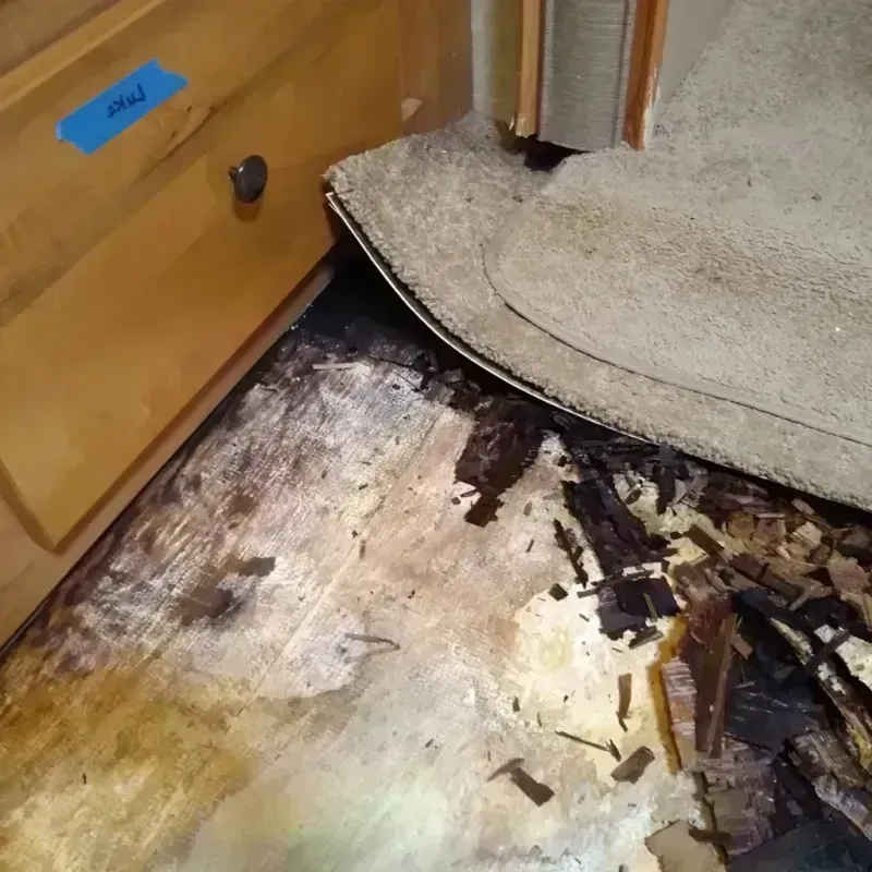 Wood Floor Water Damage in Defiance County, OH